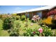 2 Chablis Court, Latrobe TAS 7307
