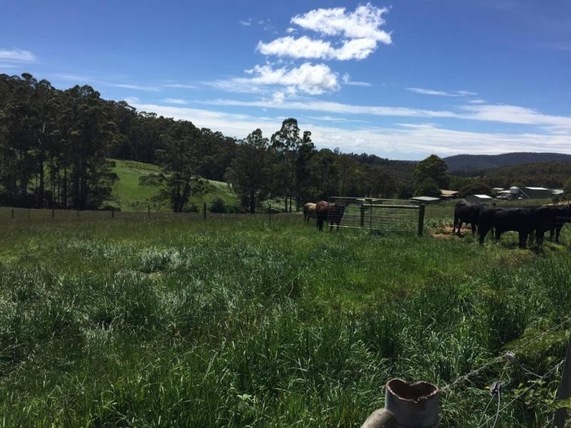 * Hardwicks Road, Sunnyside TAS 7305