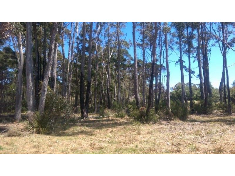 142 Stony Rise Road, Stony Rise TAS 7310