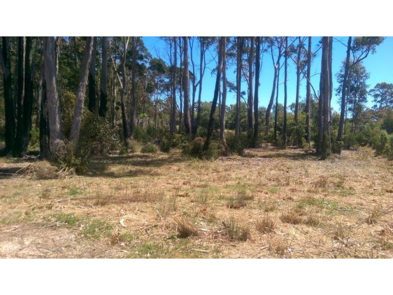 142 Stony Rise Road, Stony Rise TAS 7310