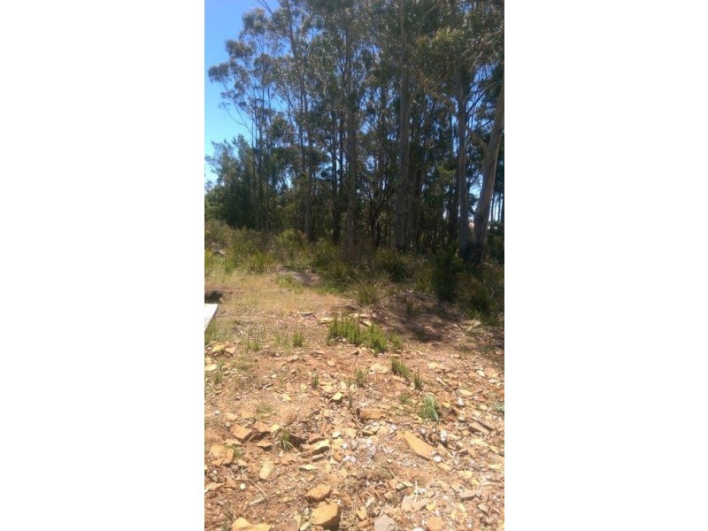 142 Stony Rise Road, Stony Rise TAS 7310
