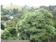 1 Fysh Street, Forth TAS 7310