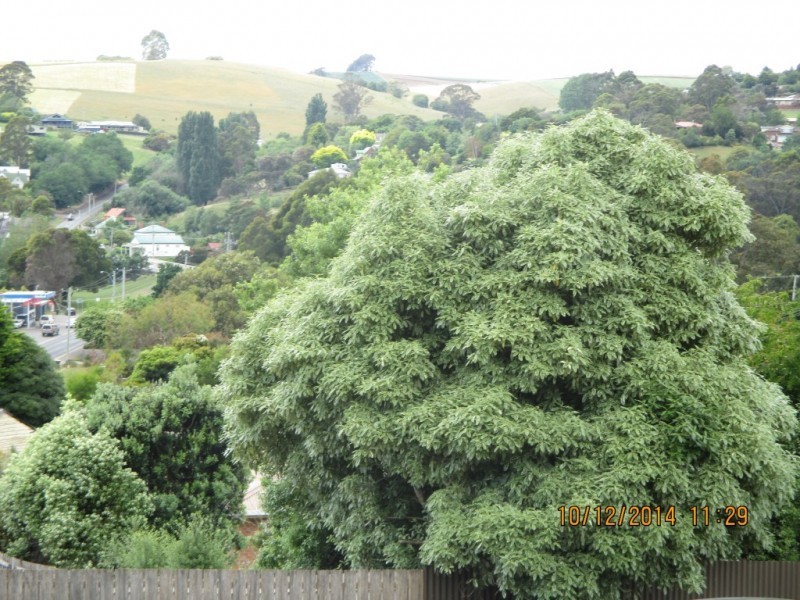 1 Fysh Street, Forth TAS 7310