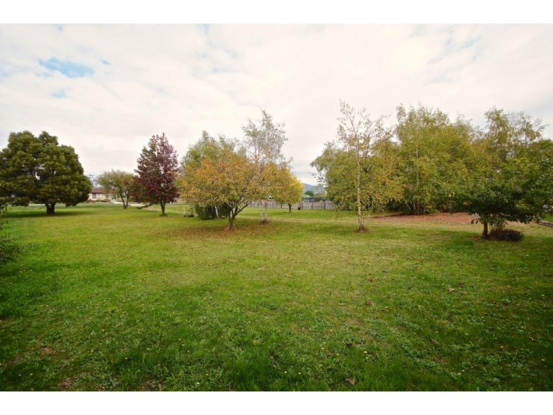37 Reibey Street, Latrobe TAS 7307