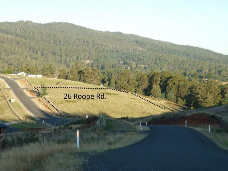26 Roope Road, Lower Barrington TAS 7306