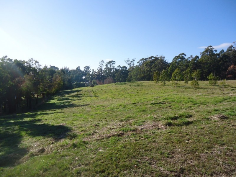 137 Knox Drive, South Spreyton TAS 7310