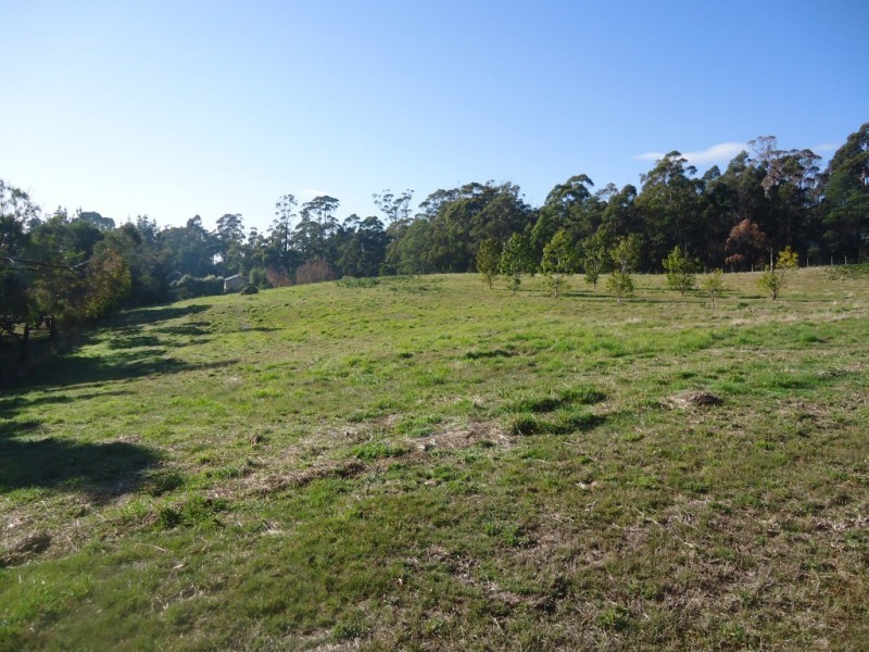 137 Knox Drive, South Spreyton TAS 7310