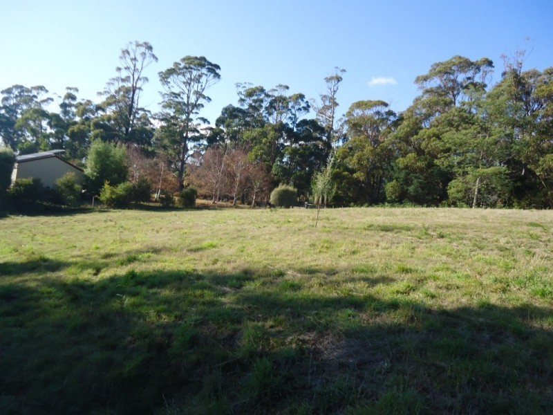 137 Knox Drive, South Spreyton TAS 7310
