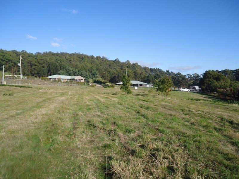 137 Knox Drive, South Spreyton TAS 7310