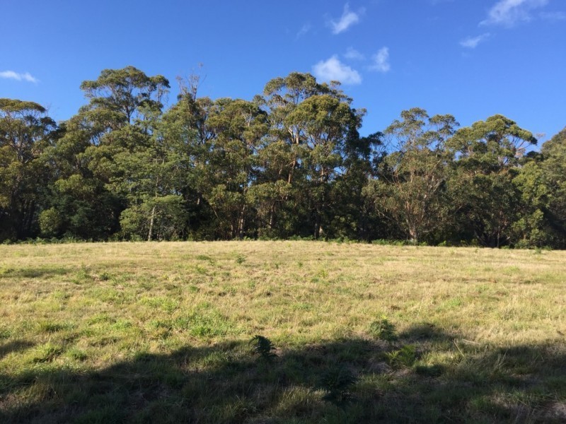 137 Knox Drive, South Spreyton TAS 7310