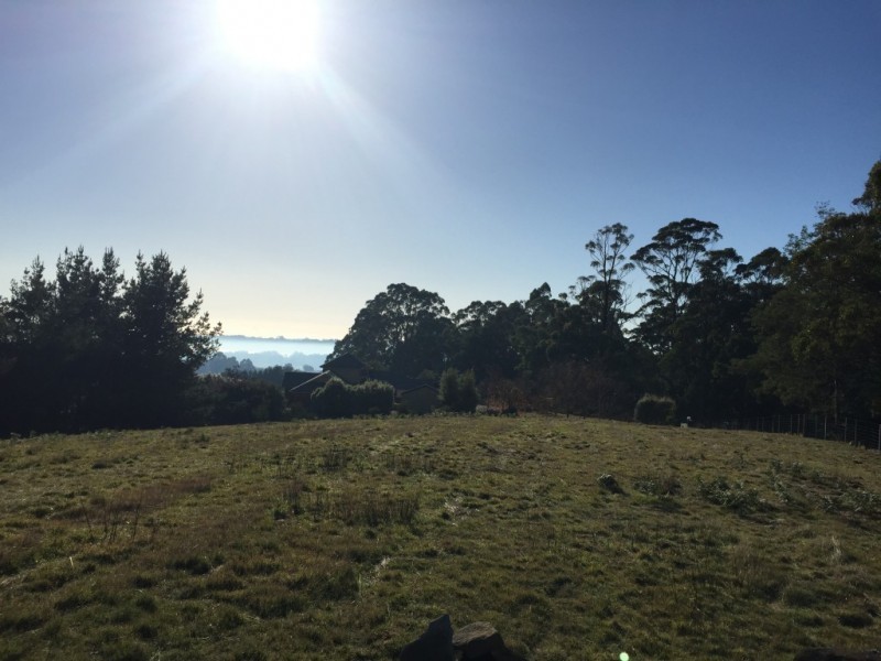 137 Knox Drive, South Spreyton TAS 7310