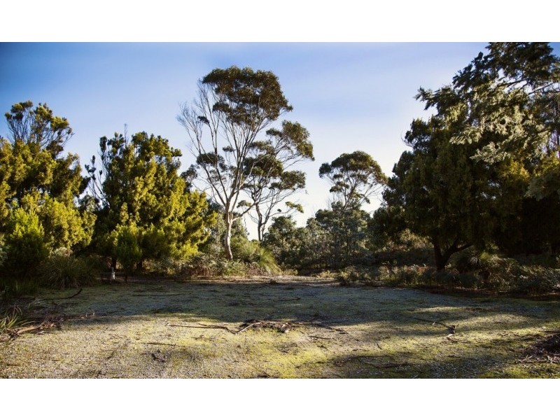 155 Marana Drive, Bakers Beach TAS 7307