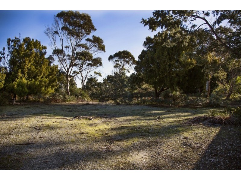 155 Marana Drive, Bakers Beach TAS 7307