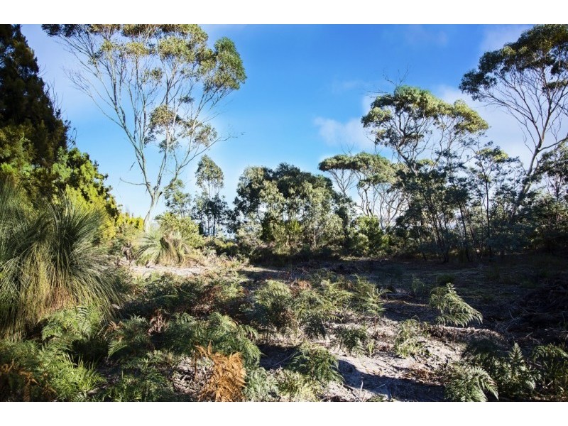 155 Marana Drive, Bakers Beach TAS 7307