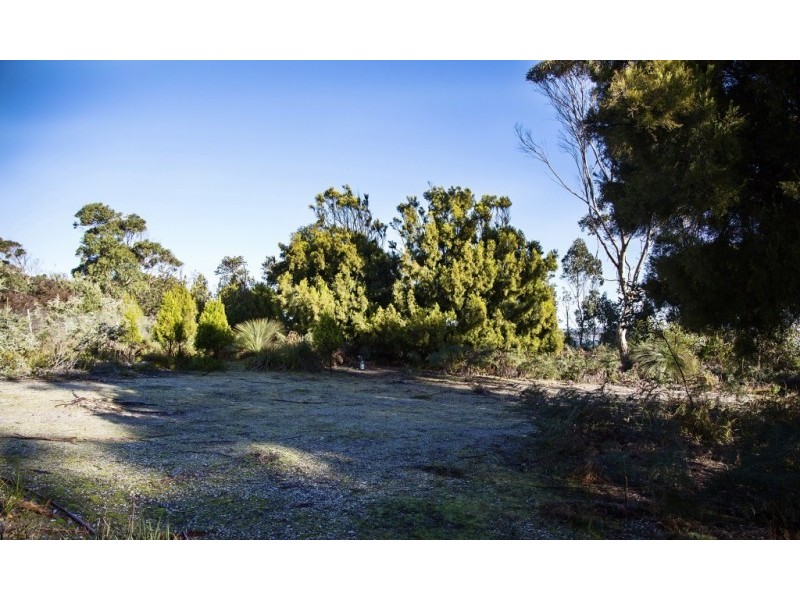 155 Marana Drive, Bakers Beach TAS 7307