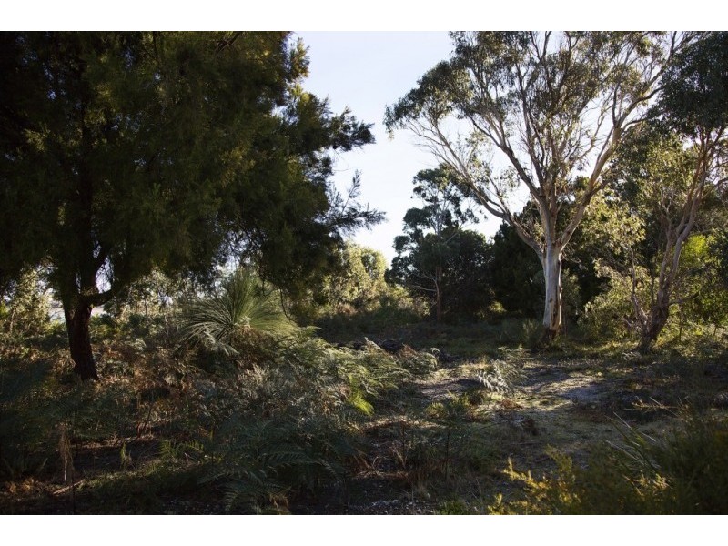 155 Marana Drive, Bakers Beach TAS 7307