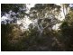 155 Marana Drive, Bakers Beach TAS 7307