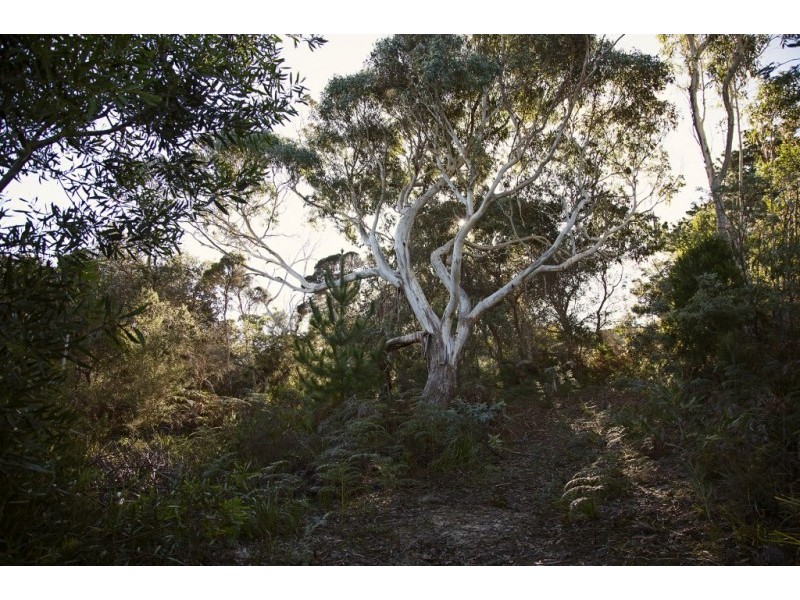 155 Marana Drive, Bakers Beach TAS 7307