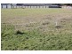 Lot 22,  The Avenue, Latrobe TAS 7307