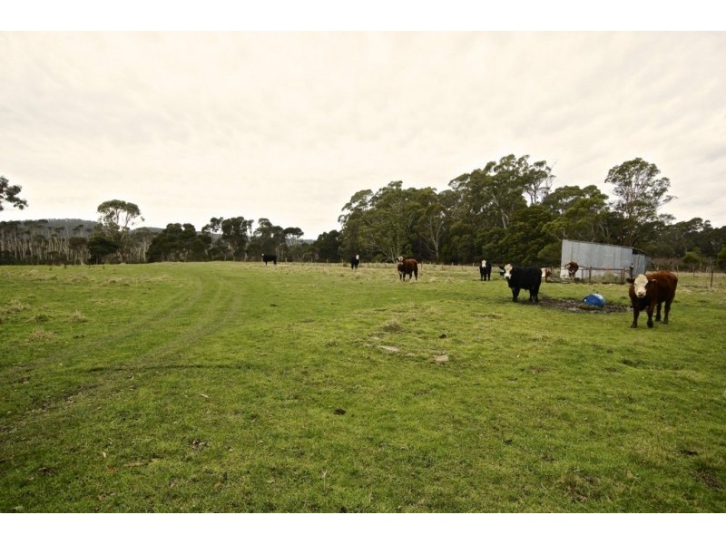 325 Mersey Main Road, Spreyton TAS 7310
