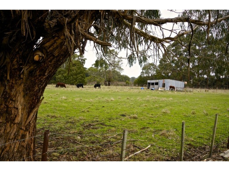 325 Mersey Main Road, Spreyton TAS 7310