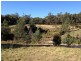 * Castle Drive, Tarleton TAS 7310