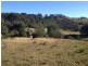 * Castle Drive, Tarleton TAS 7310