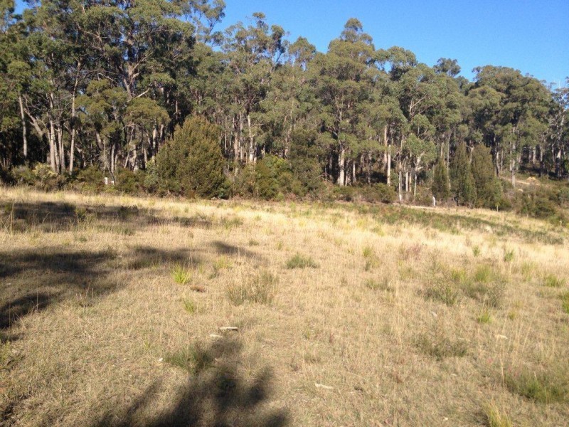* Castle Drive, Tarleton TAS 7310