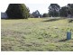 3 Fysh Street, Forth TAS 7310