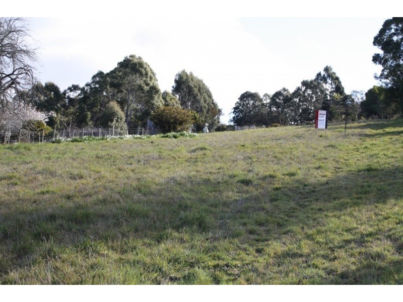 3 Fysh Street, Forth TAS 7310