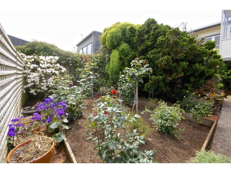 56 Hiller Street, Devonport TAS 7310