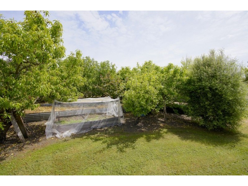 6 Moriarty Road, Latrobe TAS 7307