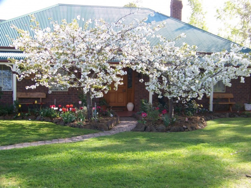 21 Maxwell Drive, Latrobe TAS 7307