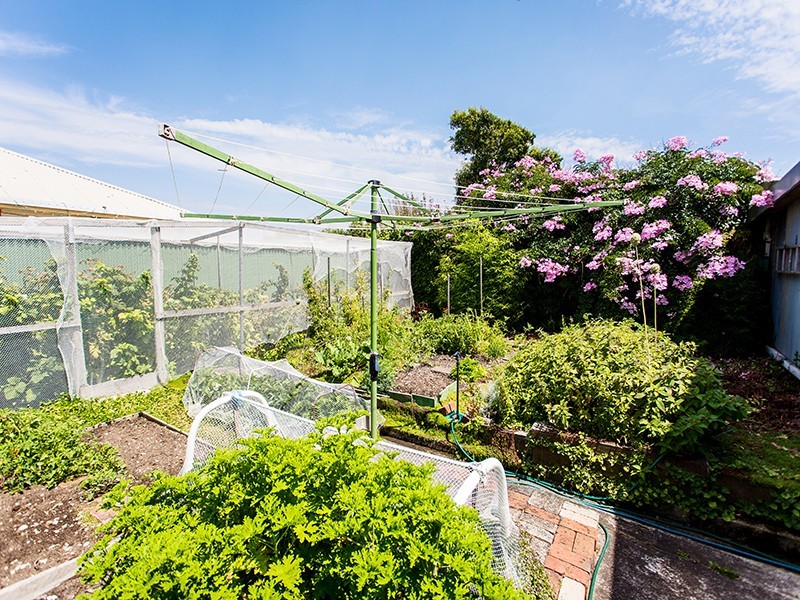 63 Nicholls Street, Devonport TAS 7310