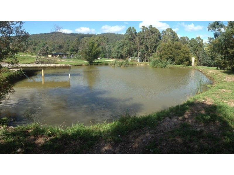 114 Grandview Drive, South Spreyton TAS 7310