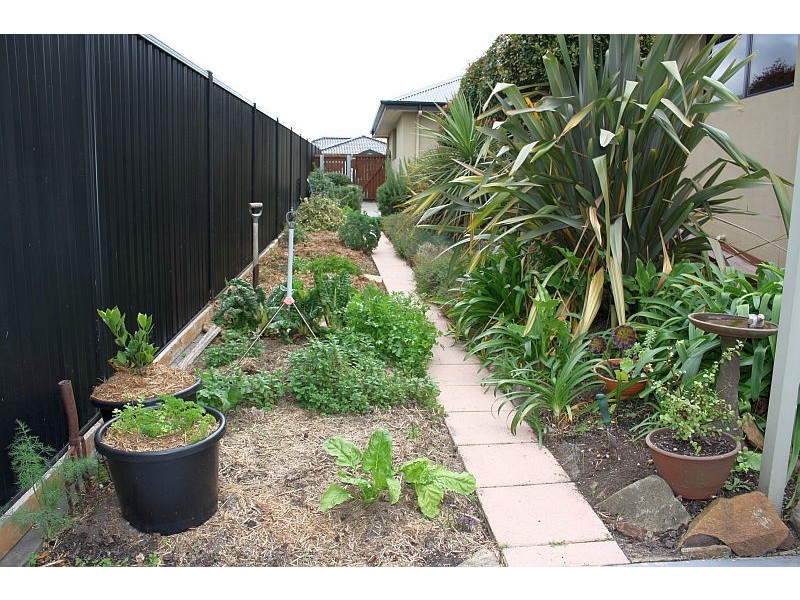 99 Lovett Street, Devonport TAS 7310