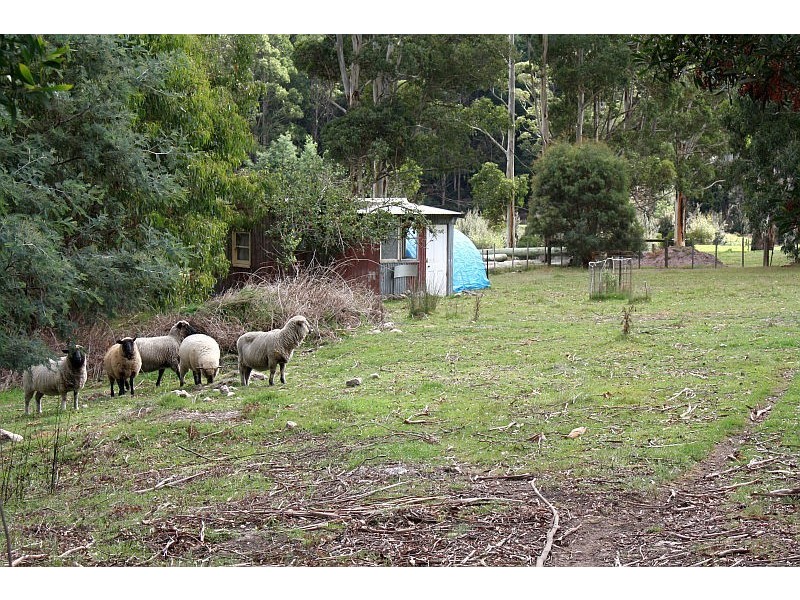 25 Kookaburra Rock Road, Sheffield TAS 7306