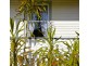 44 Wenvoe Street, Devonport TAS 7310