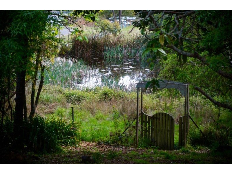 13 Morrison Street, Kimberley TAS 7304