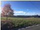 10 Luck Street, Spreyton TAS 7310