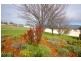 1 Hamilton Court, Sheffield TAS 7306