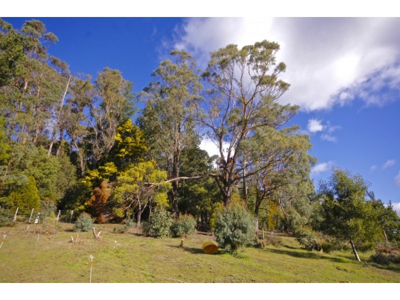 73 Tarleton Road, Tarleton TAS 7310