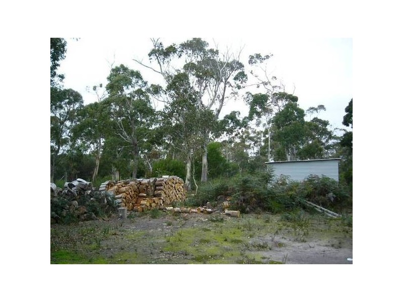 Bakers Beach TAS 7307