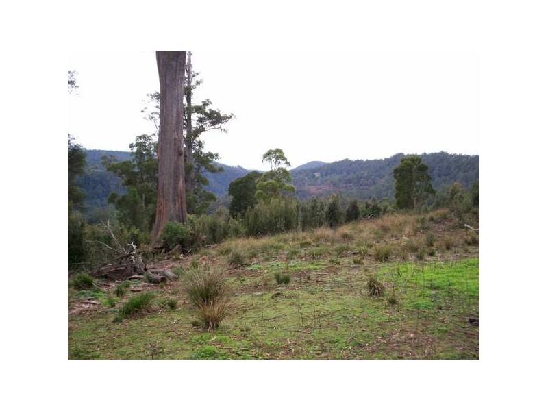 Wilmot TAS 7310