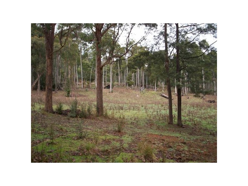 Wilmot TAS 7310