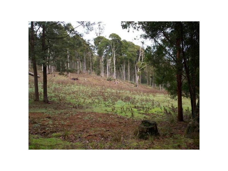 Wilmot TAS 7310