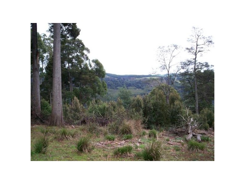 Wilmot TAS 7310