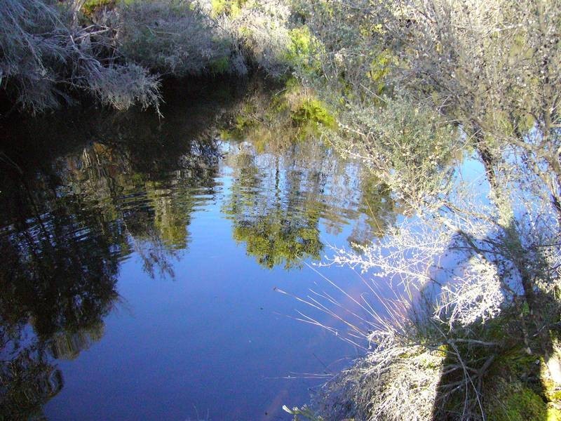 0 Felmingaham Road, Parkham TAS 7304