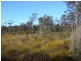 0 Felmingaham Road, Parkham TAS 7304