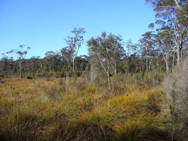 0 Felmingaham Road, Parkham TAS 7304